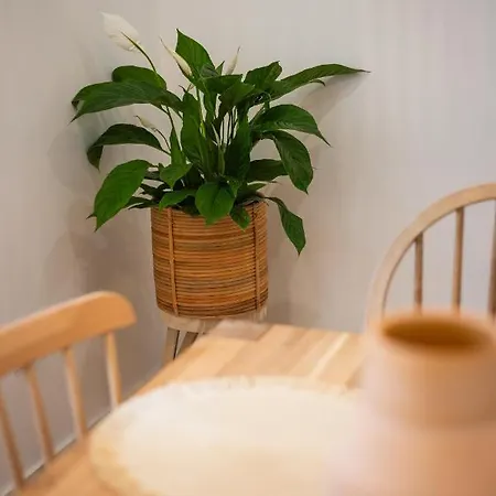 Lookout Ferienhaus Nazaré